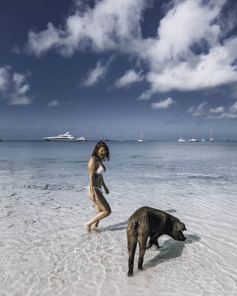 Exuma Swimming with Pigs