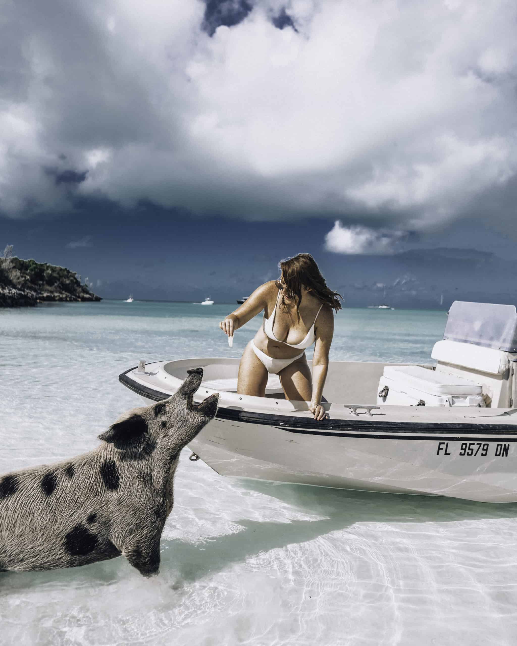 Exuma Swimming with Pigs